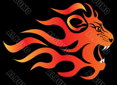  infuriated lion in fire on black