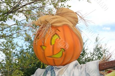 Pumpkin