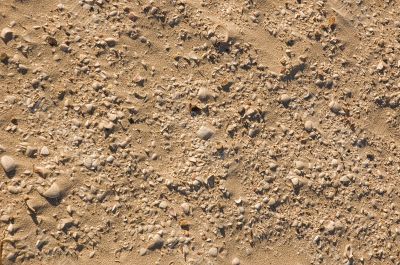 Sand dune texture