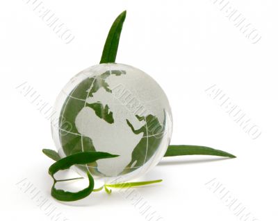 Glass globe with leaves