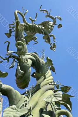 Beanstalk