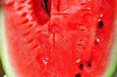 Cold Watermelon