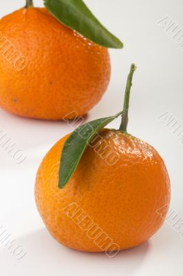 Orange Tangerines