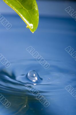 Water drop