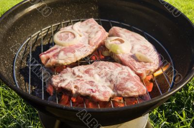  barbecue grill