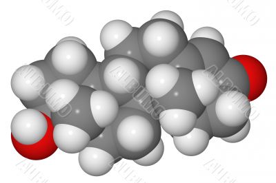 Space-filling model of testosterone molecule