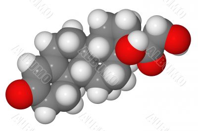 Space-filling model of cortisol molecule