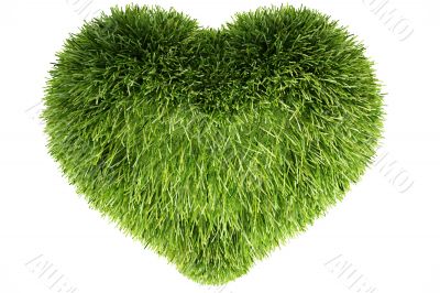 3d grass  heart isolated on white