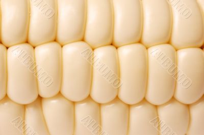 corn macro texture