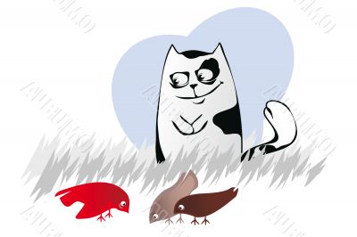 cat tom 
