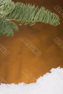 Spruce branch
