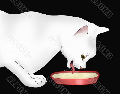 The cat drinks milk