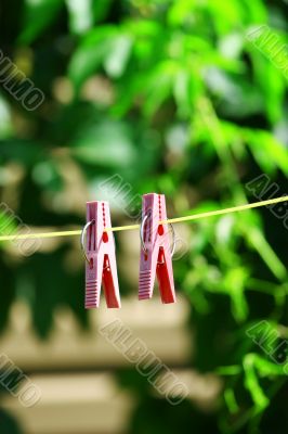Two pink clothes pins