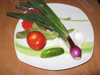 the fresh vegetables