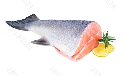 salmon
