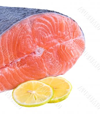 salmon