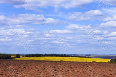 Rural landscape