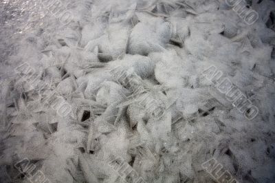 Ice texture of frozen sea