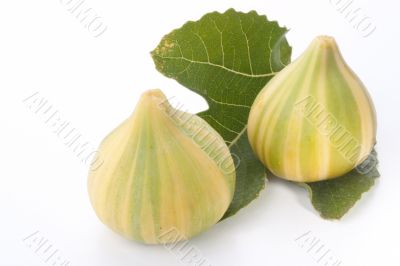 Ripe fruits of a fig