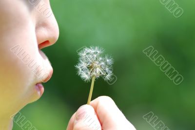 blowball before blowing