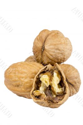 Pile of Walnuts