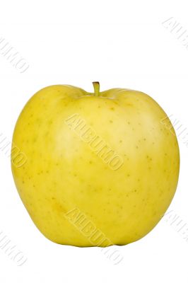 Golden Delicious Apple