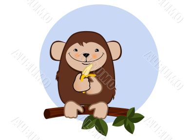 Monkey
