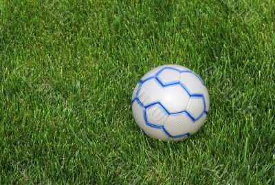 Soccer Ball on the Lawn