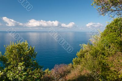 View at the sea