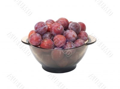 Crop of plums.