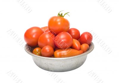 Tomatoes.