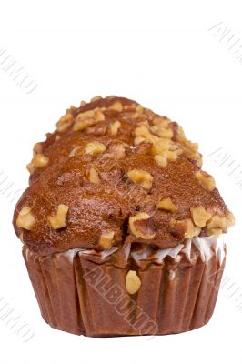 Nut Muffin