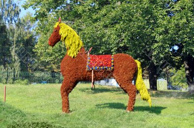 Horse at a flower-show