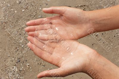 Jellyfish in hands