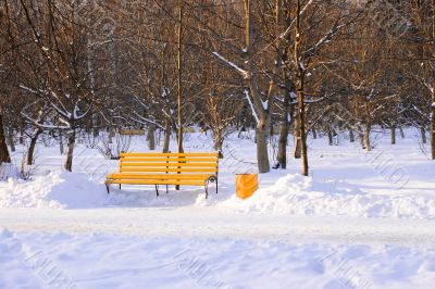 Bench in winter park