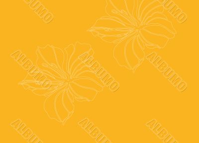 The flower image