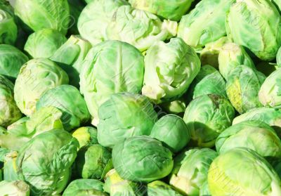 Brussel sprouts 