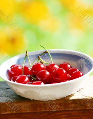 Sweet cherries