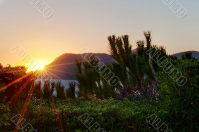 Sunset