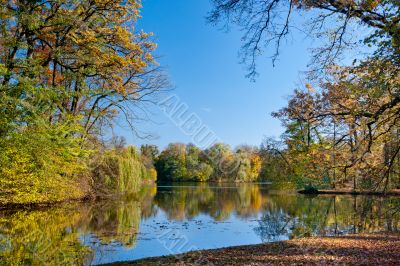 Beautiful pond