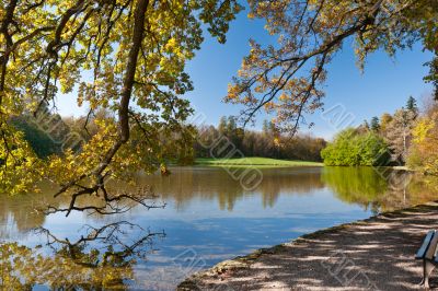 Beautiful pond