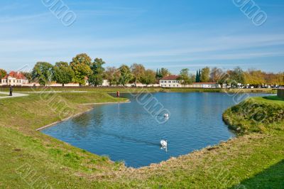 Beautiful pond