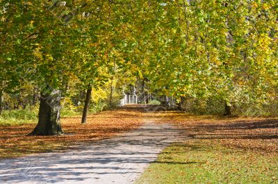 Walk in the park