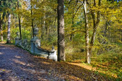 Walk in the park