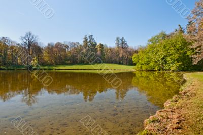 Beautiful pond