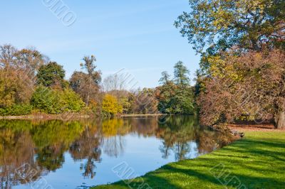 Beautiful pond