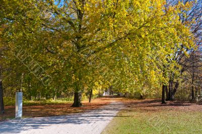 Walk in the park