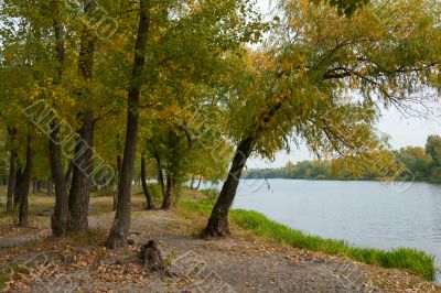 Autumn park