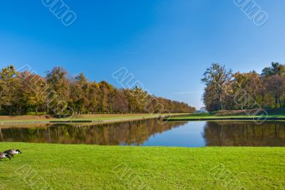 Beautiful pond