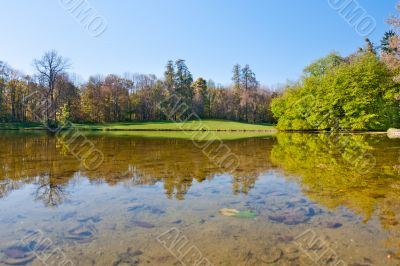 Beautiful pond